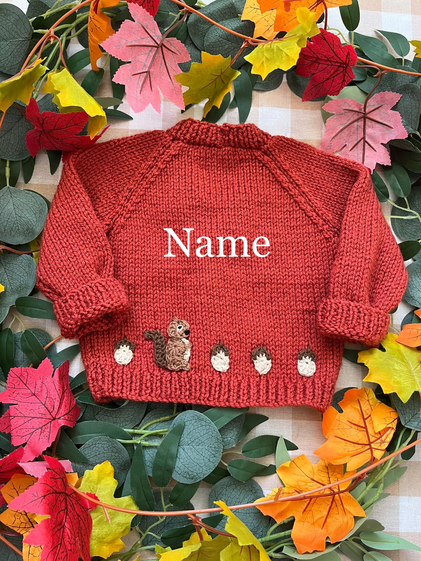 Personalise Me, Size 0-6 Months, Name Cardigan, Little Squirrel with Acorns