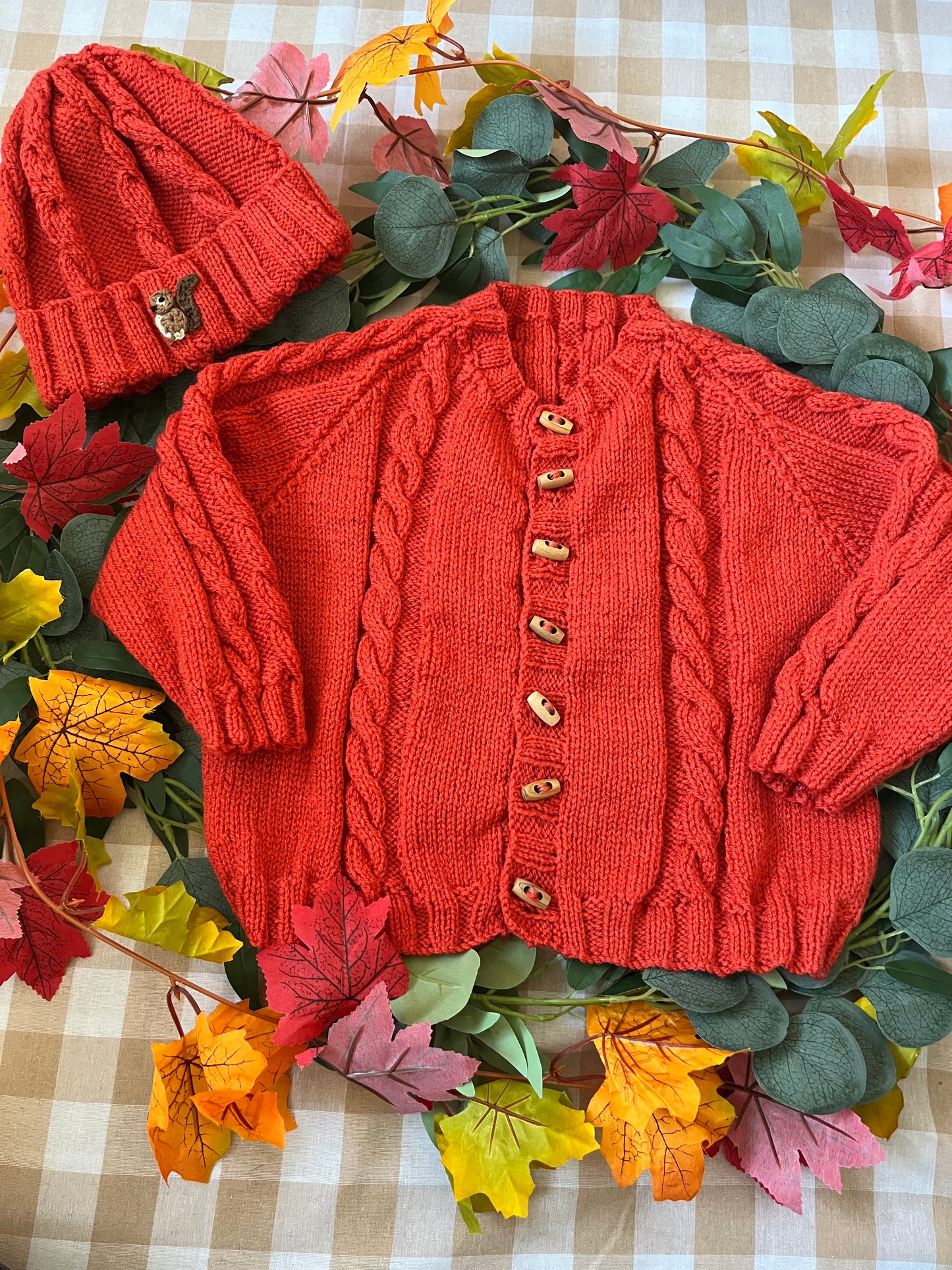 Size 2-4 years, Squirrel Cardi & Hat set