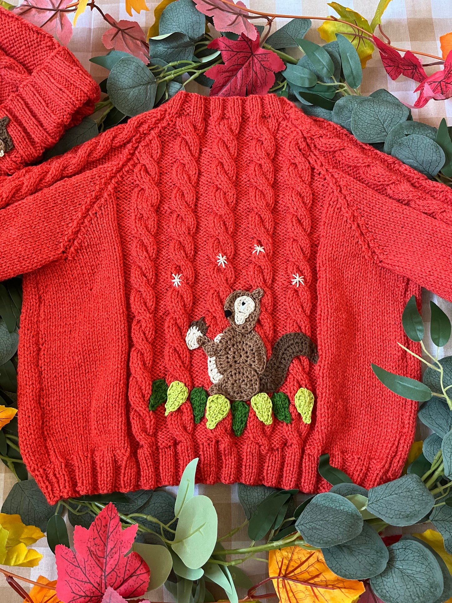 Size 2-4 years, Squirrel Cardi & Hat set