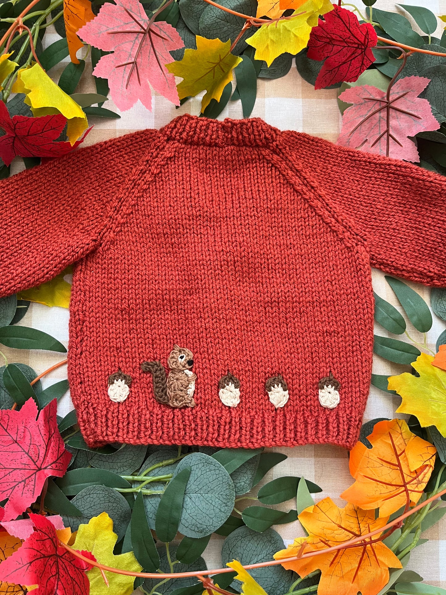 Personalise Me, Size 0-6 Months, Name Cardigan, Little Squirrel with Acorns
