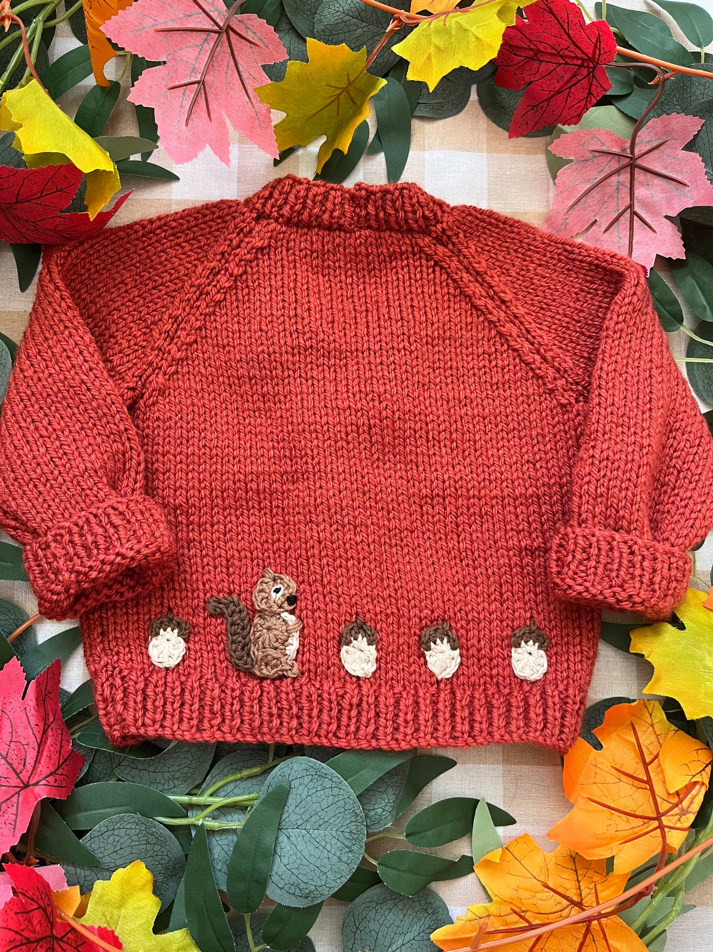 Personalise Me, Size 0-6 Months, Name Cardigan, Little Squirrel with Acorns
