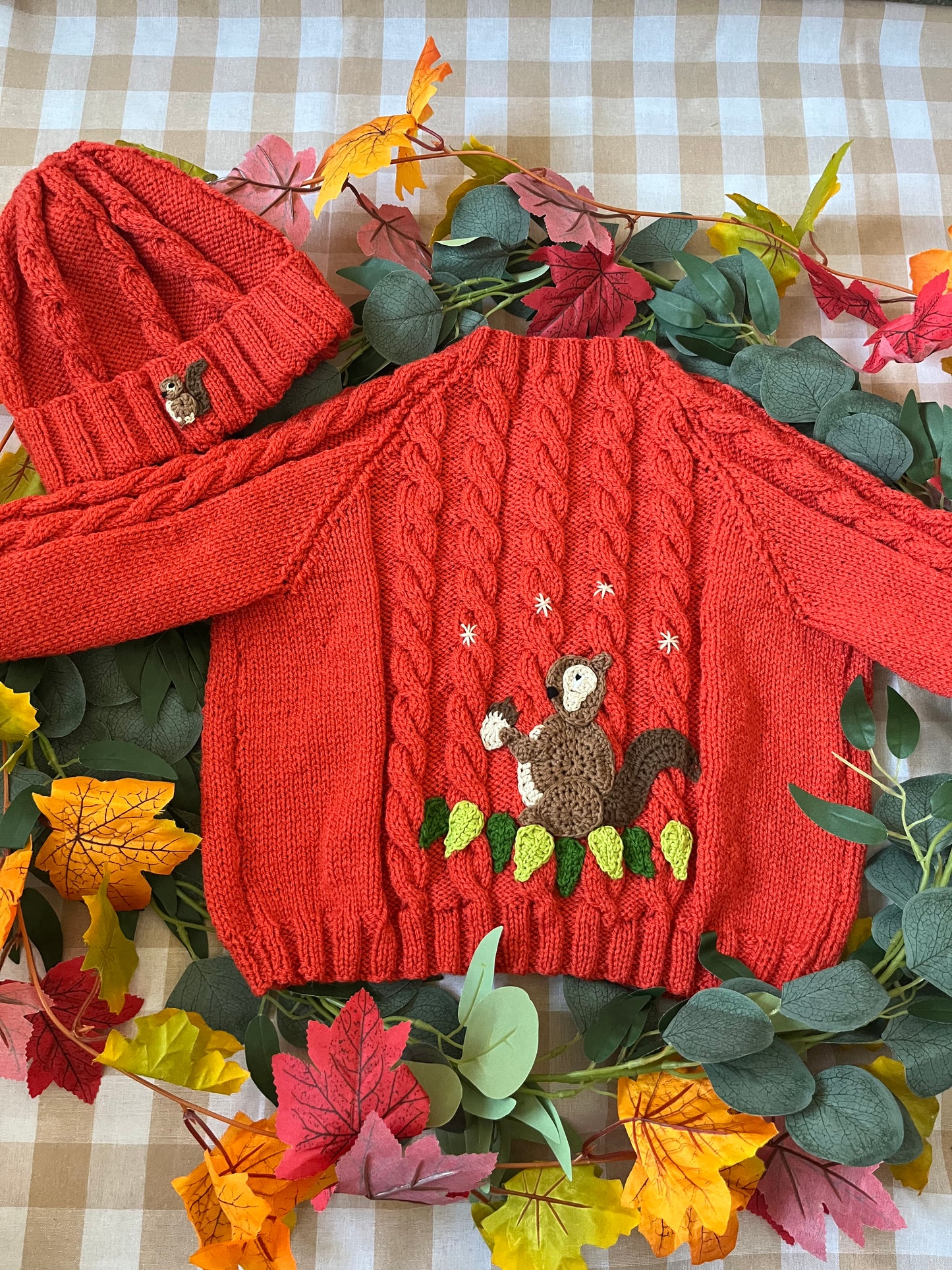 Size 2-4 years, Squirrel Cardi & Hat set