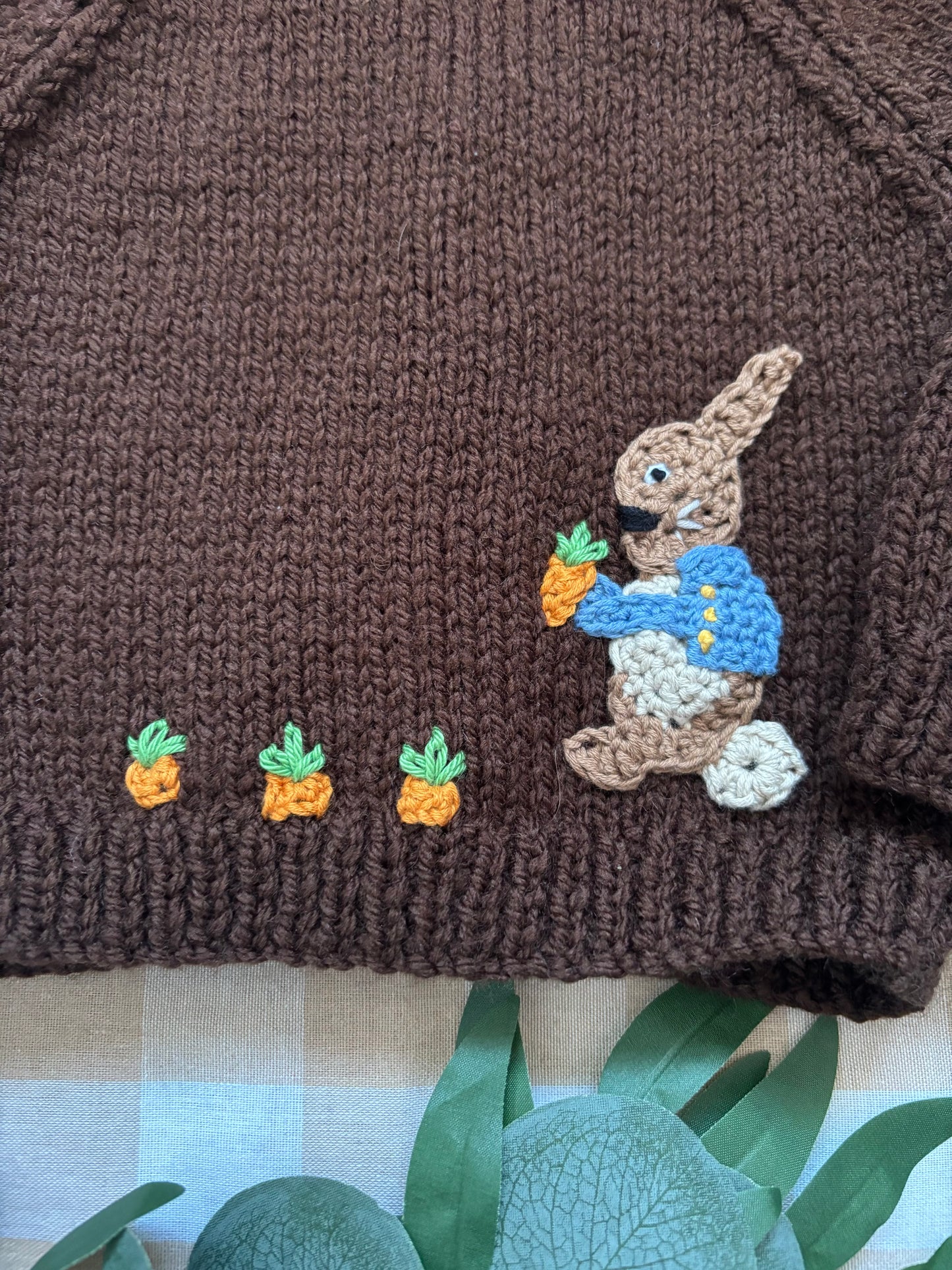 Size 0-6 Months, Peter Rabbit picking Carrots, Brown Cardi