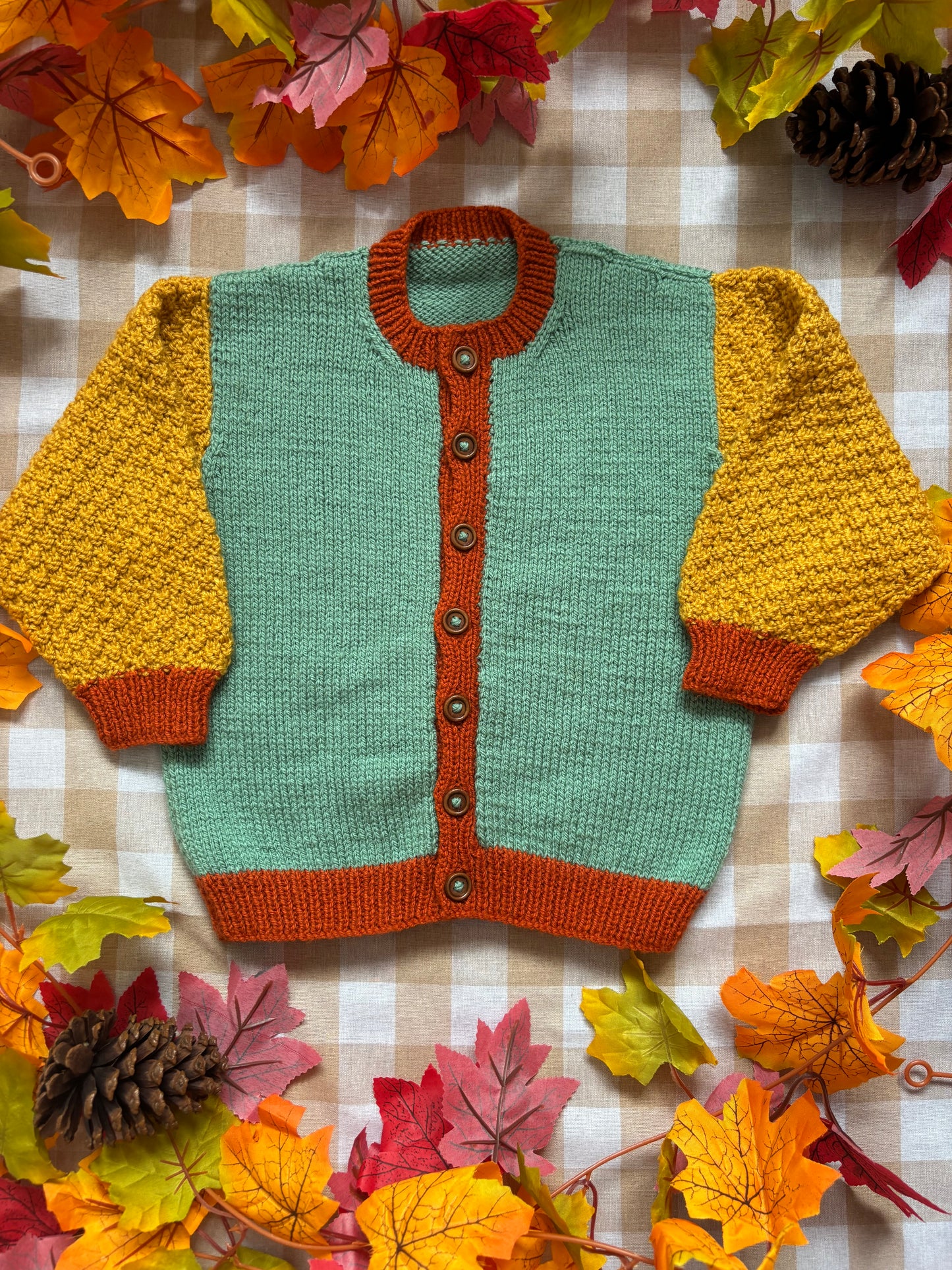 Personalise Me, Size 2-3 Squirrel Colour block Cardi