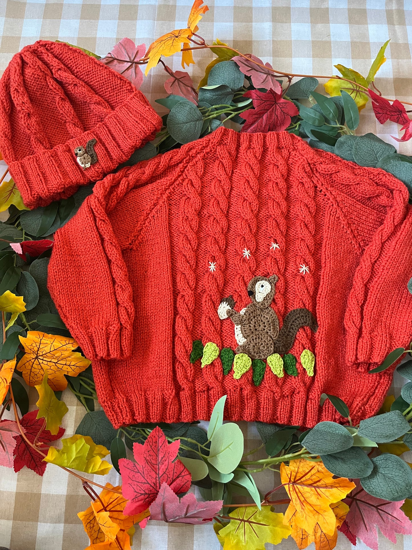 Size 2-4 years, Squirrel Cardi & Hat set
