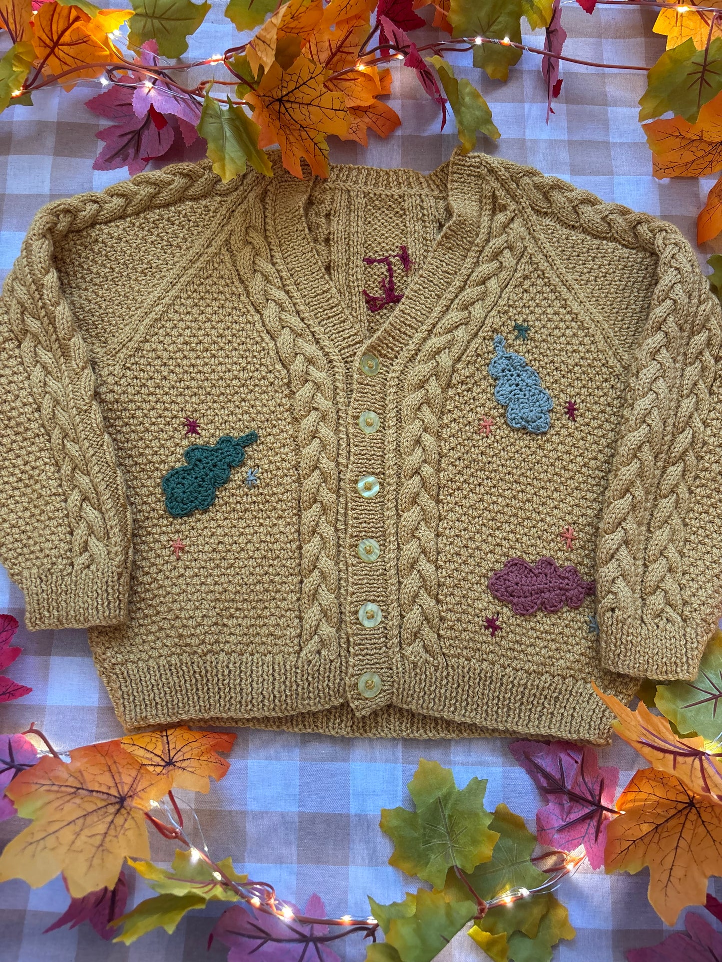 Size 5-7 Years, I am an Autumn, Mustard Hand Knitted Cardi