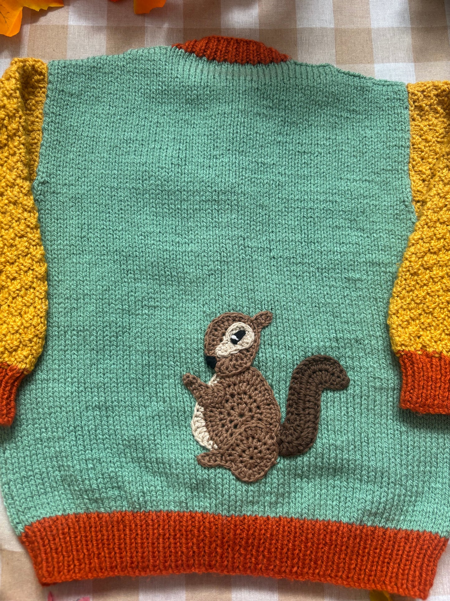 Personalise Me, Size 2-3 Squirrel Colour block Cardi
