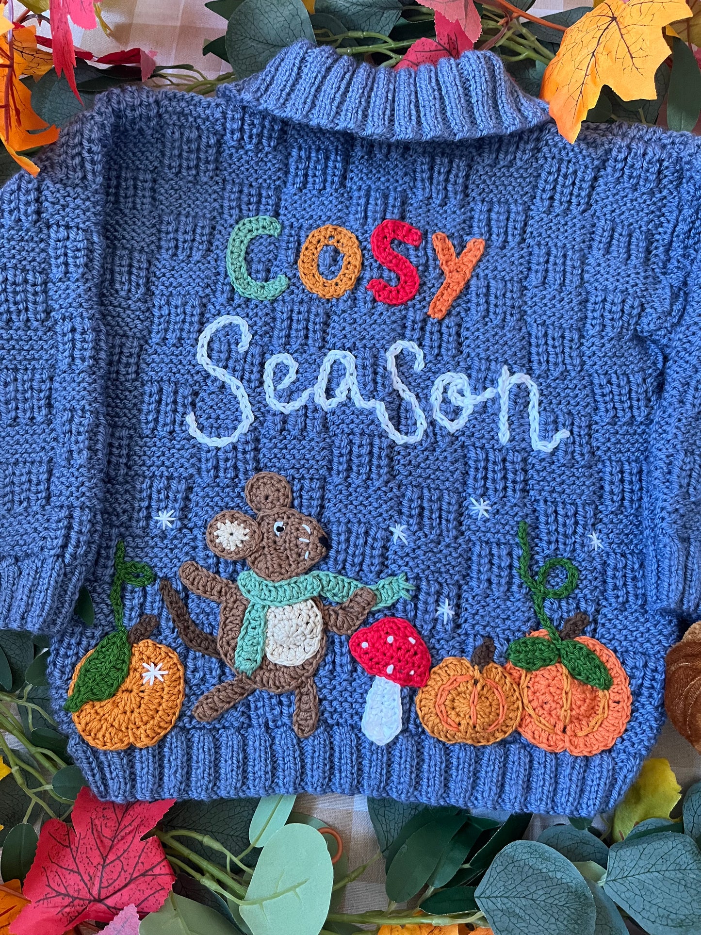 Size 2-4 Years, Cosy Season, Field Mouse Blue Cardi