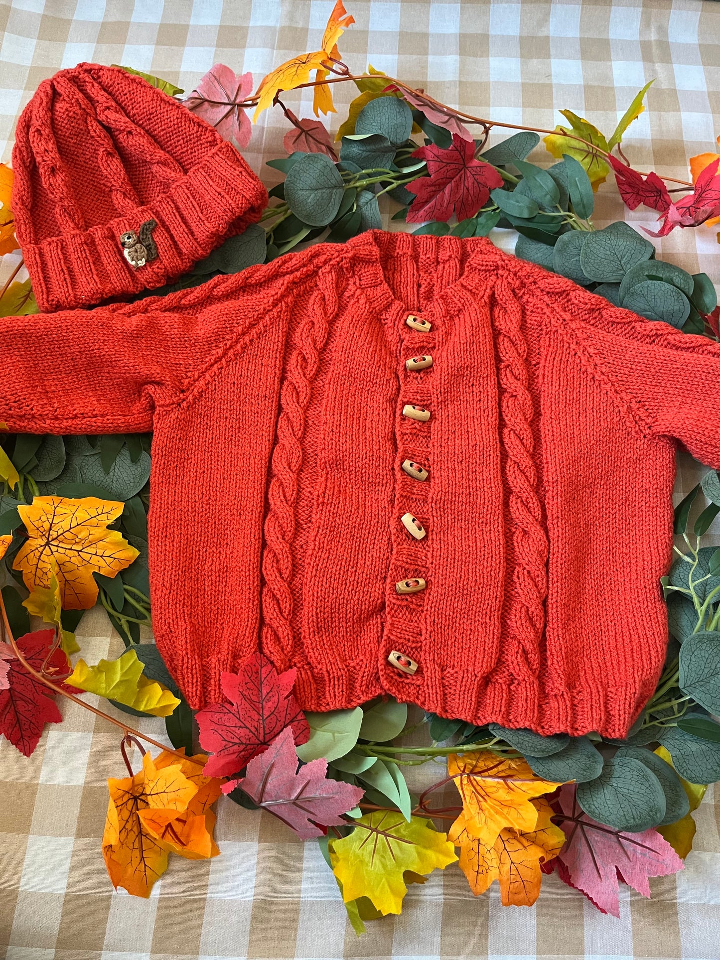 Size 2-4 years, Squirrel Cardi & Hat set