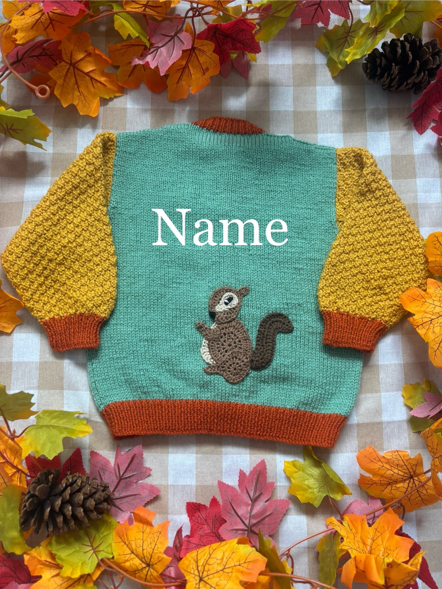 Personalise Me, Size 2-3 Squirrel Colour block Cardi