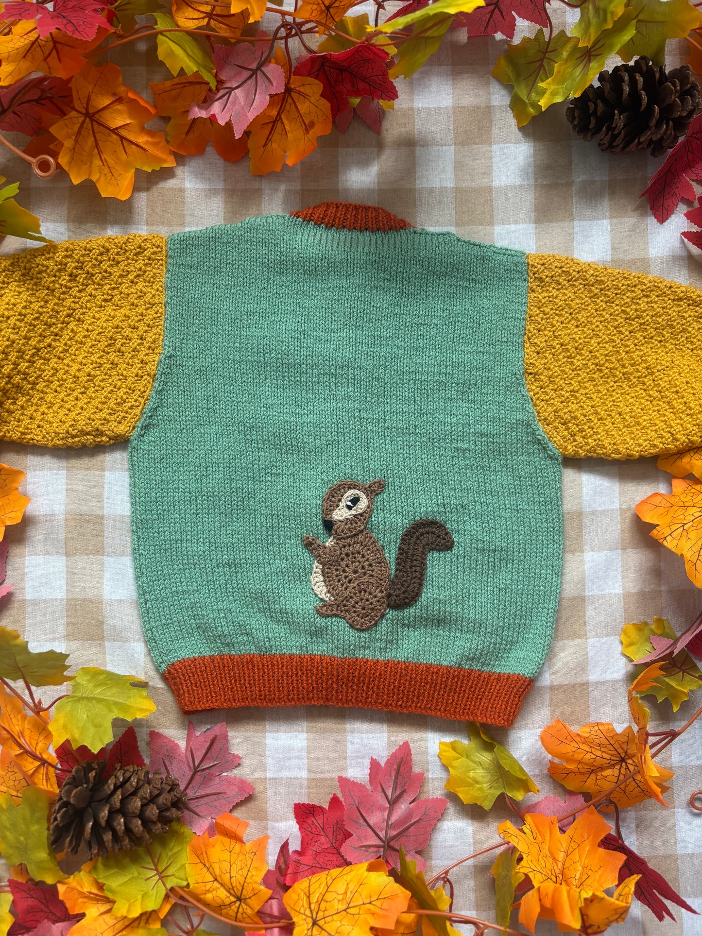 Personalise Me, Size 2-3 Squirrel Colour block Cardi