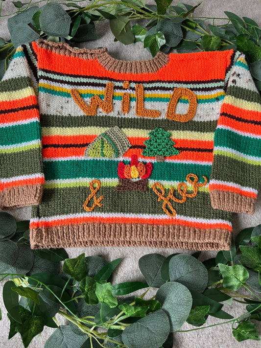 Size 1-2 Years, Wild & Free, Campfire Cardigan, Multicolour Stripe Jumper